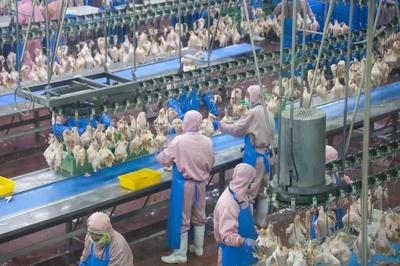 乳山预制菜企业实现年销售额近10亿元，饲料原料销售双轮驱动