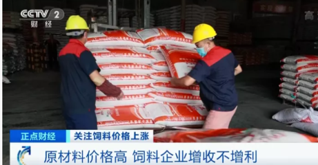 饲料行业再迎“涨价潮” 原料销售火爆，养殖户陷入亏损困境