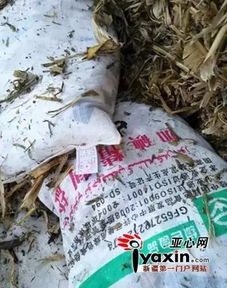 新疆查处首起以饲料盐为原料制贩假食盐案，饲料原料销售监管引关注